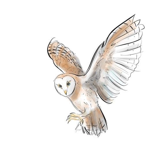 Brief Encounter. Old Steading, Altass