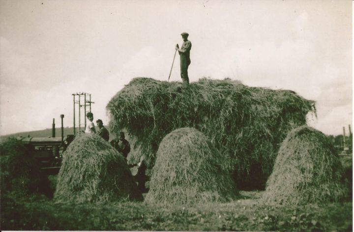 History of farming in Ardgay