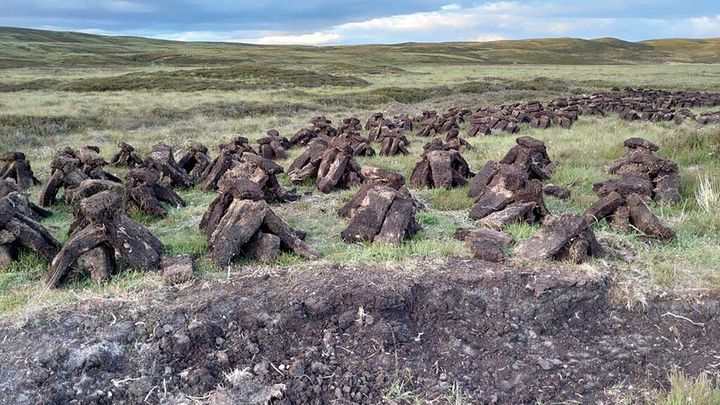 Lads and young men