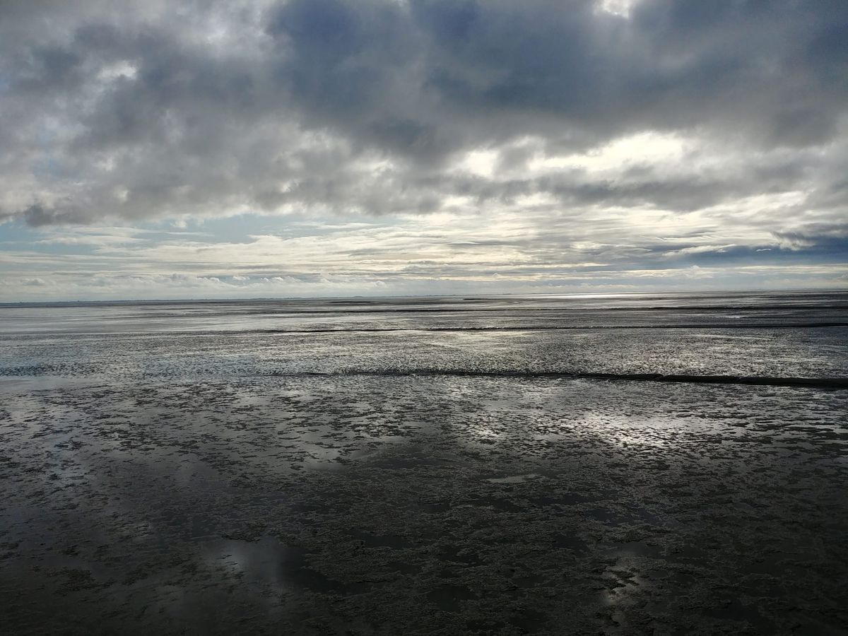 KI in der Buchbranche