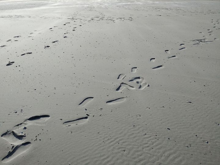 Fußspuren am nassen Sandstrand