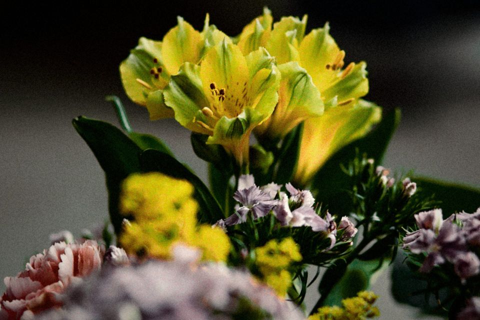 More autochrome styled images