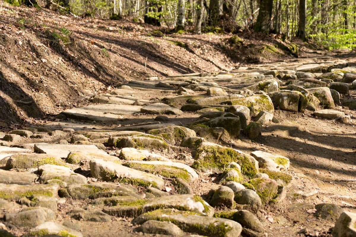 Le Vie di Roma: Un Viaggio tra Antiche Strade e Segreti Millenari