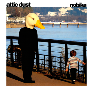 attic dust