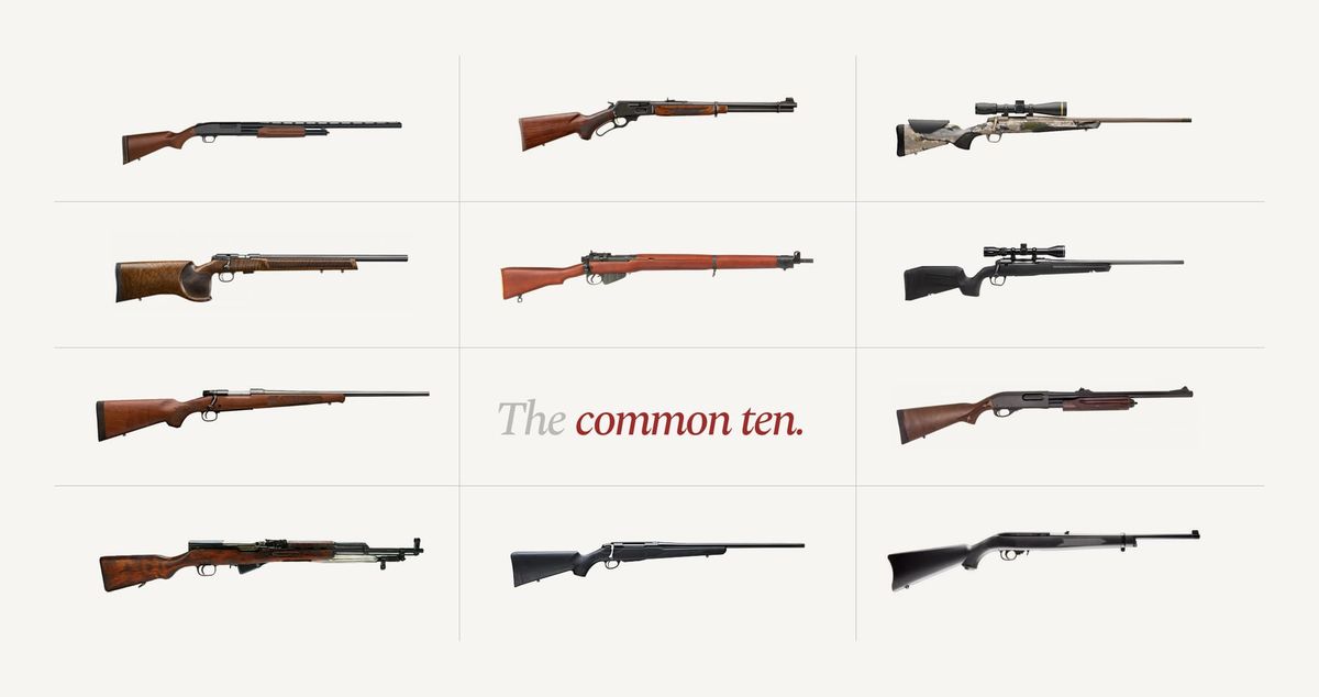 Row of non-restricted Canadian rifles and shotguns in common use