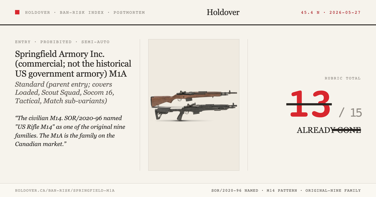 Springfield Armory M1A (M14 pattern) reference image for Holdover Ban-Risk verdict