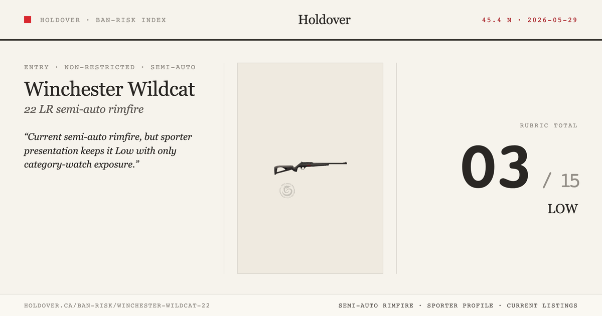 Winchester Wildcat 22 reference image for Holdover Ban-Risk verdict