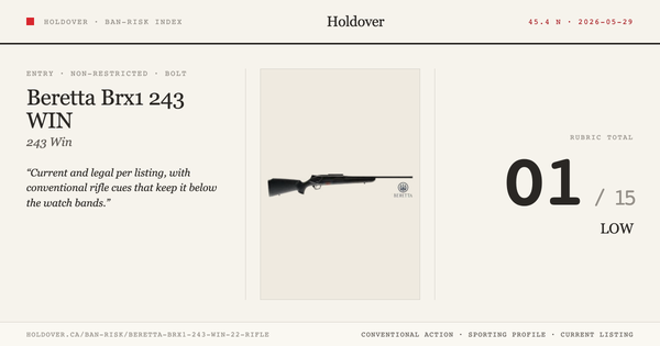 Beretta Brx1 243 WIN 22'' Rifle