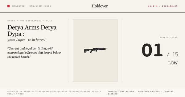 Derya Arms Derya Dypa Rifle: 9mm, 12" Barrel, Model Dypa-12-Tele reference image for Holdover Ban-Risk verdict