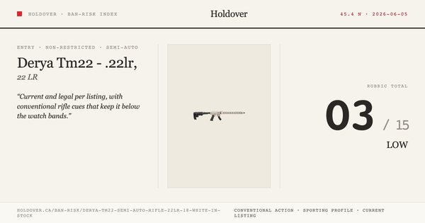 Derya Tm22 Semi-Auto Rifle - .22lr, 18", White *In Stock! reference image for Holdover Ban-Risk verdict