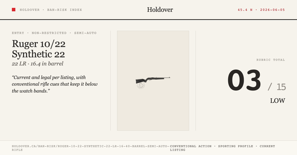 Ruger 10/22 Synthetic 22 LR 16.40″ Barrel Semi-Auto Rifle reference image for Holdover Ban-Risk verdict