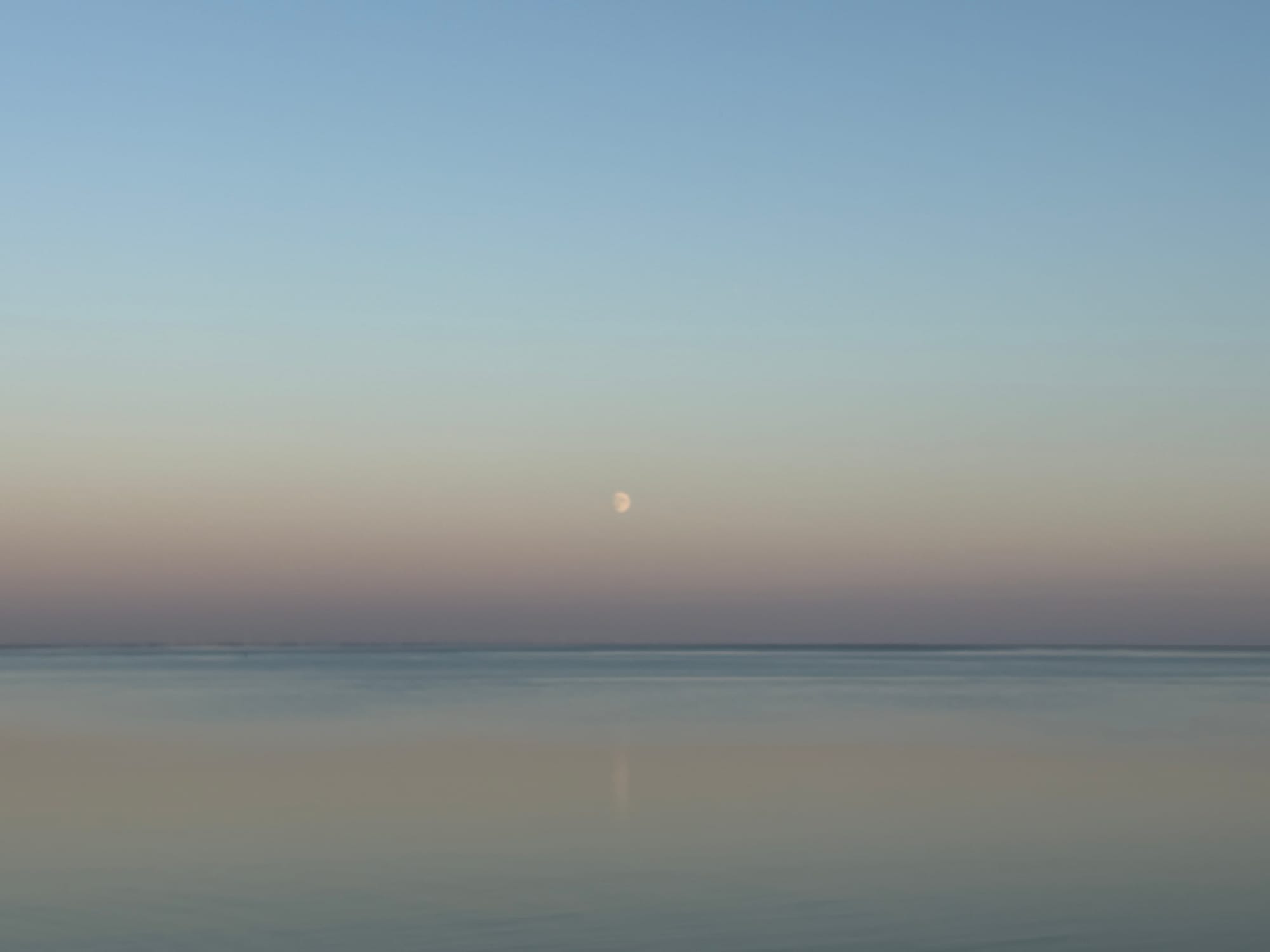 Des paysages à couper le souffle depuis Lanserhof Sylt. La lune au petit matin au-dessus de l'horizon