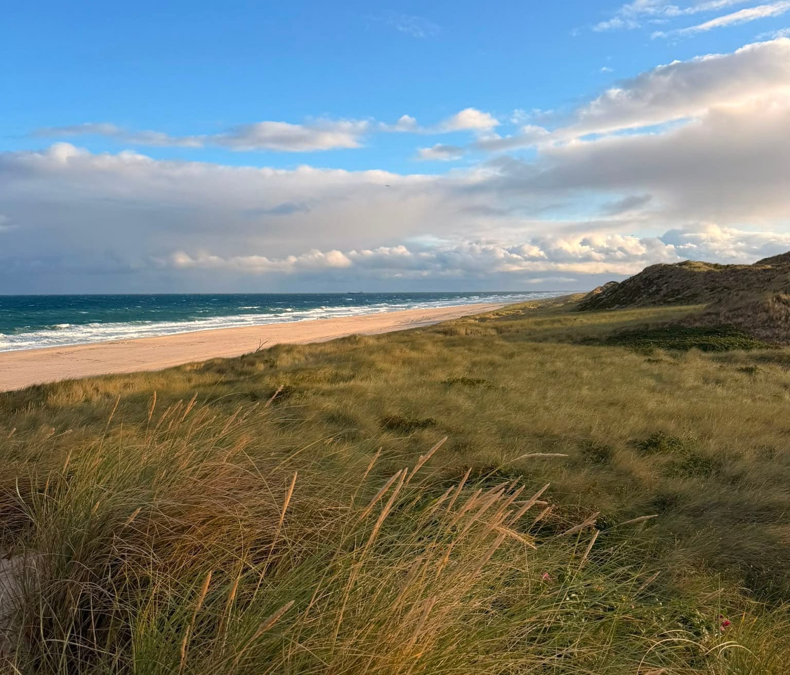 Le paysage autour de Lan serhof Sylt : des dunes, de la lumière, des embruns