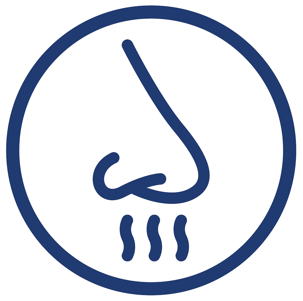 The science behind smell