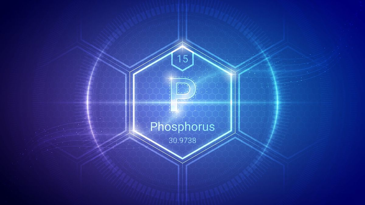 Why phosphorus matters for seniors