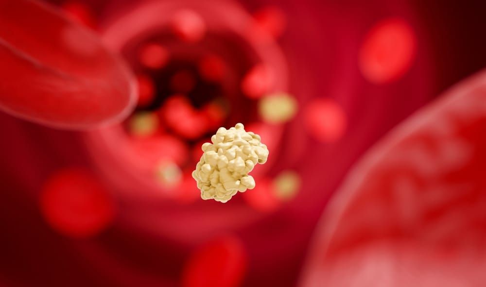 Understanding the endocrine system