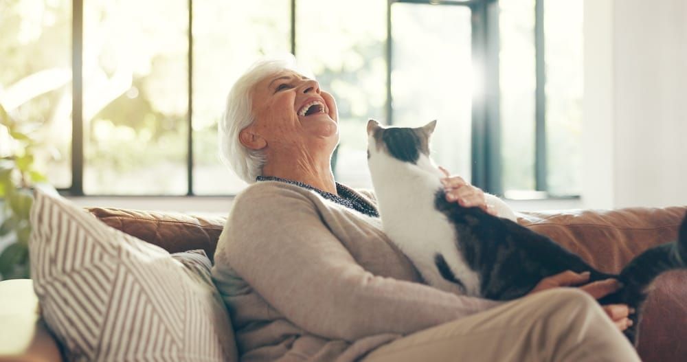 Can pets improve senior health and well-being?
