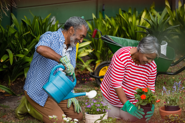 The benefits of gardening for seniors