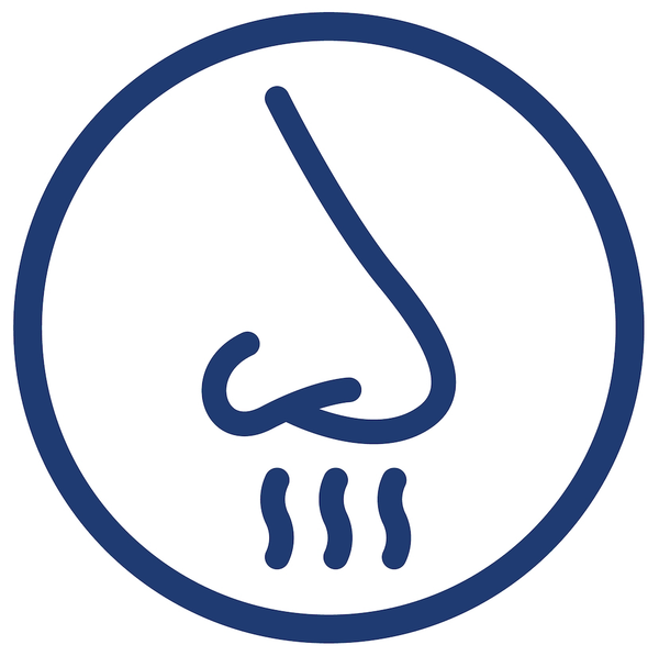 The science behind smell