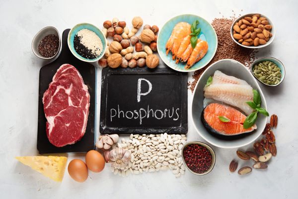 The importance of phosphorus for seniors