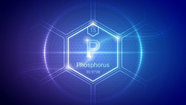 Why phosphorus matters for seniors