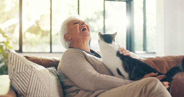 Can pets improve senior health and well-being?