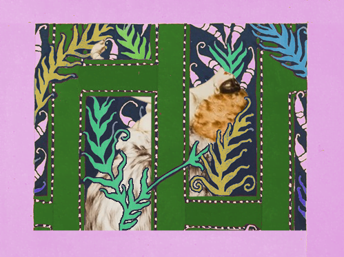 CC-2: There Are More Gardens