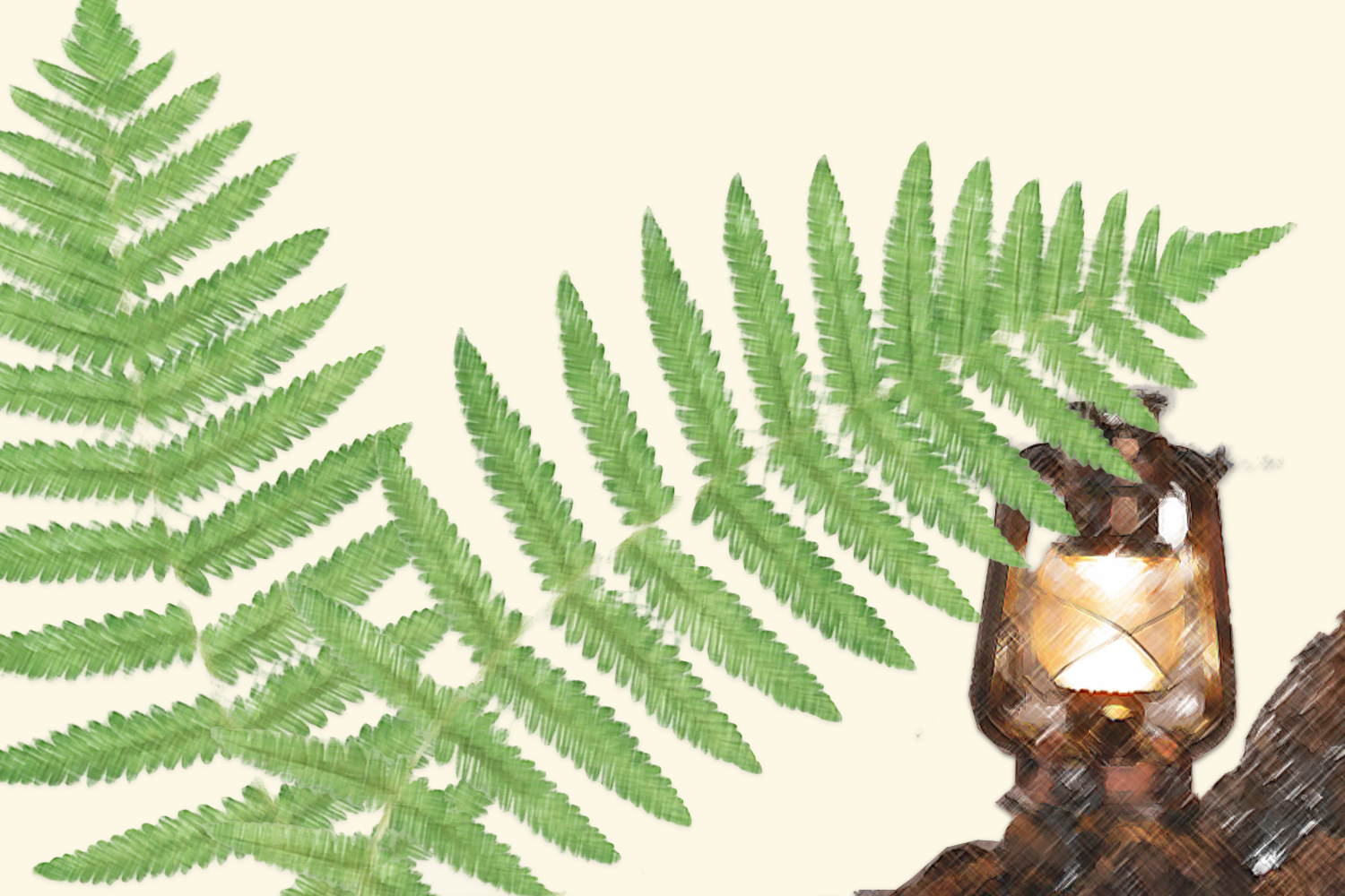 ferns and lanterns