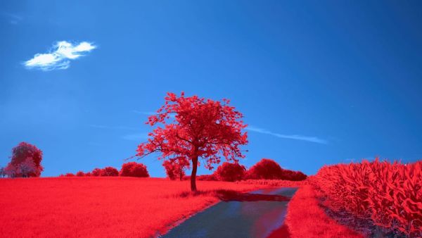 Get Back in the Box: The Hidden Architecture of Metaphysical Presuppositions in Science