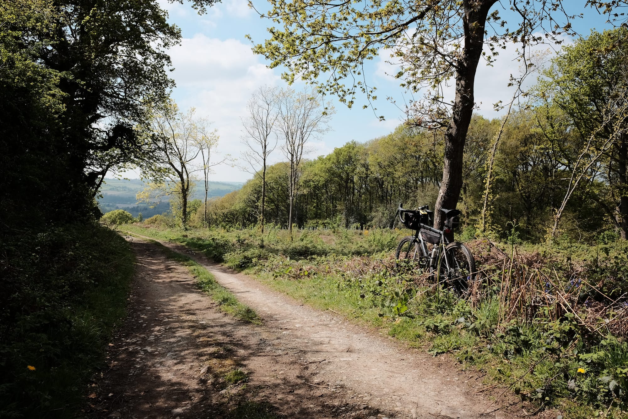 A grey bike with black bags leans on a tree by the side of a track through a high woodland with distant views looking down to the fields below
