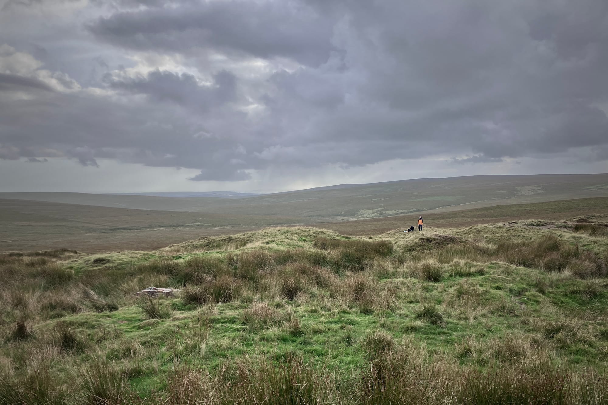 Walking with Wulfgar
