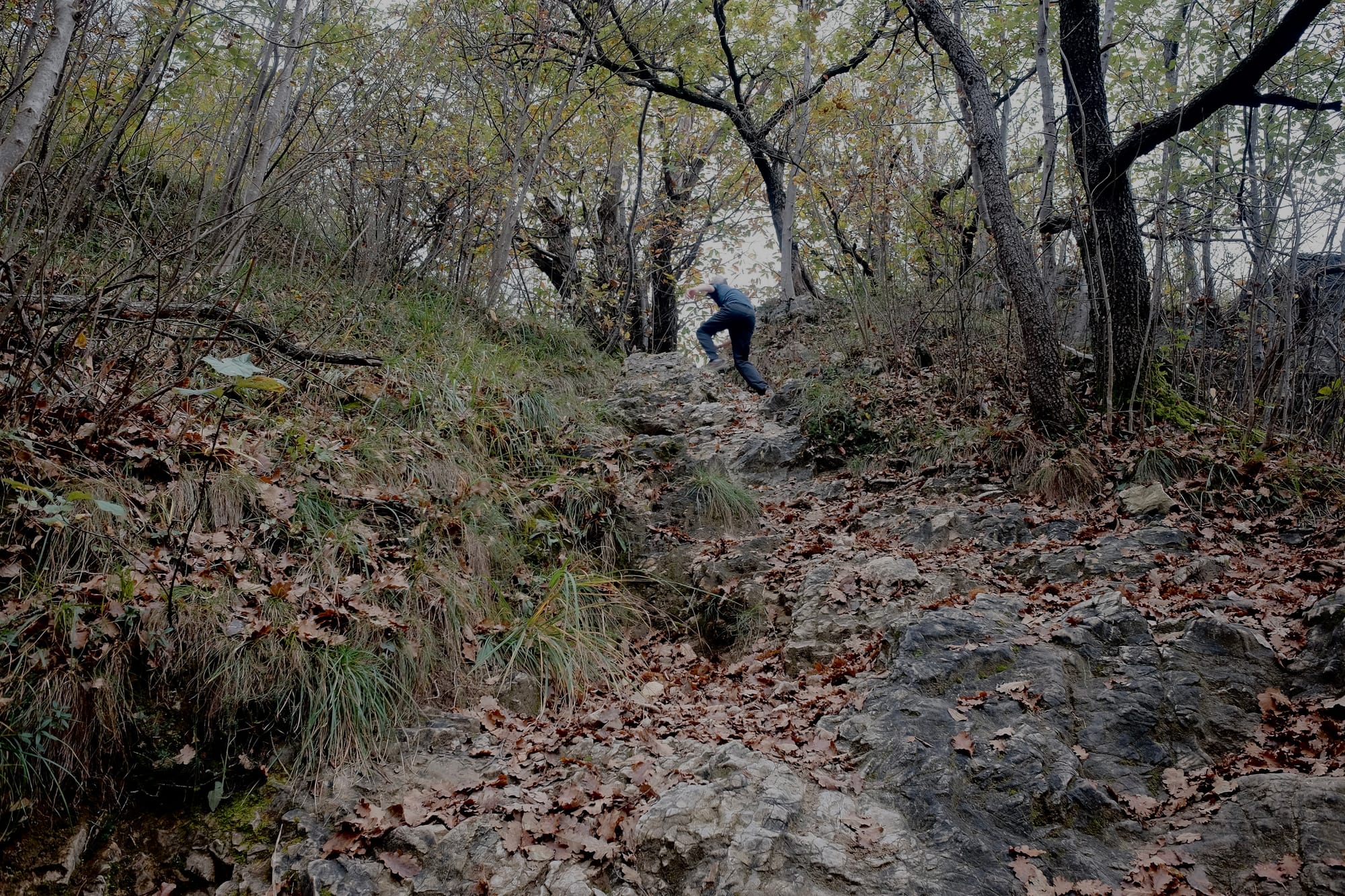 A child dressed in dark colours clambers up a steep, rocky path through woodland.