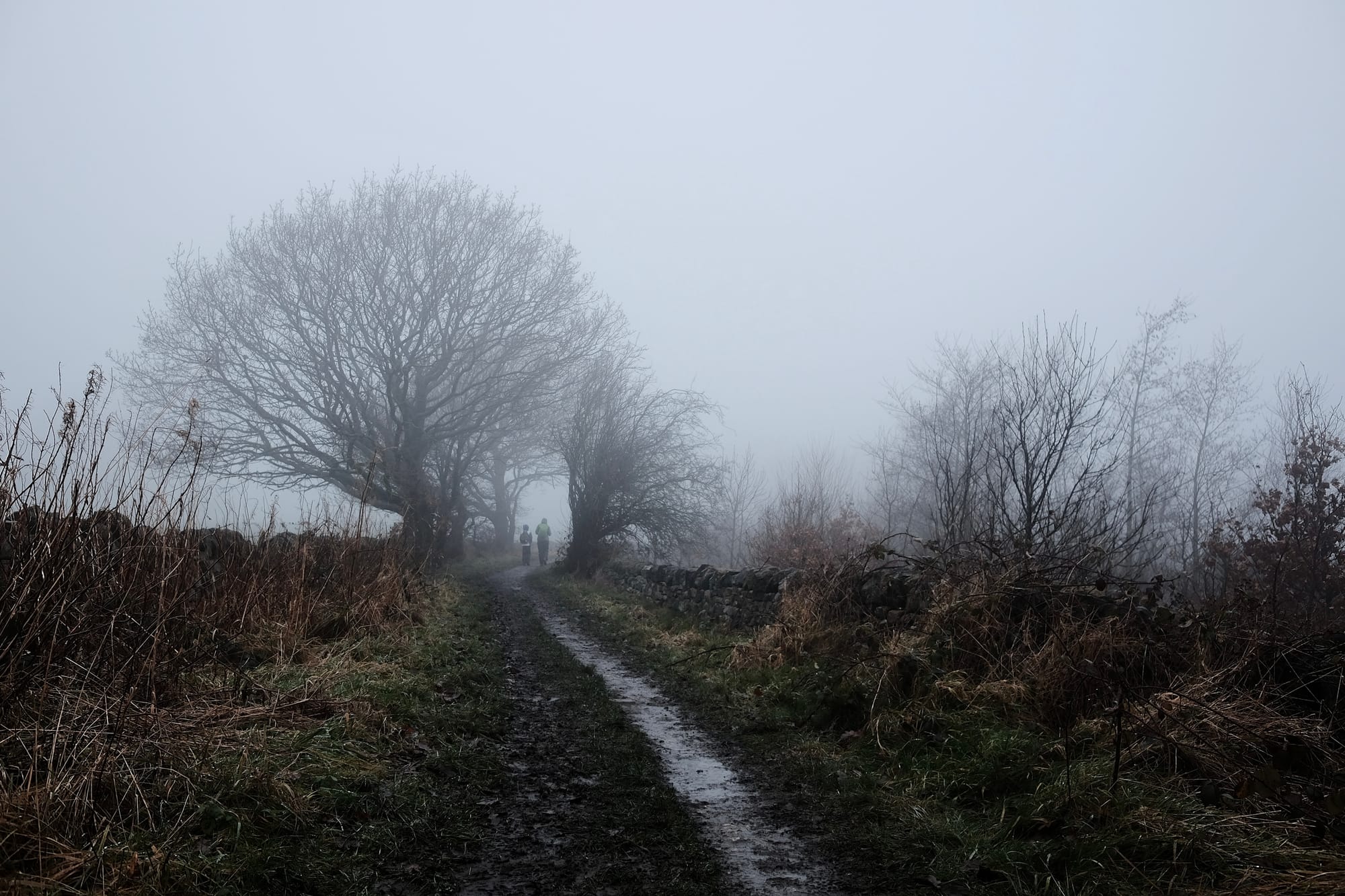 Two figures walk beneath trees along a muddy, wall-lined path into the misty distance.