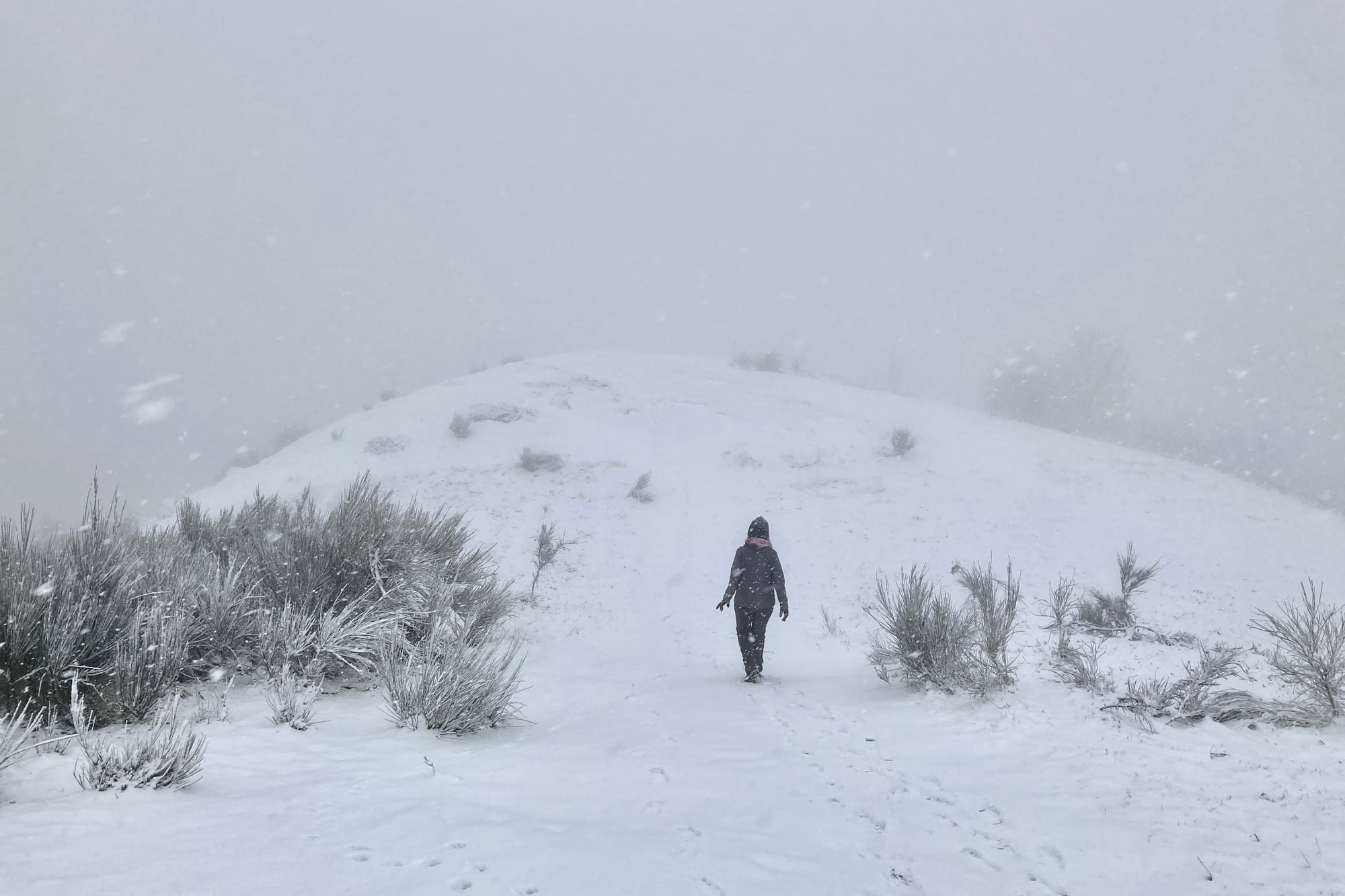 A woman walks down a snowy hillside in low visibility as more snow falls around her.