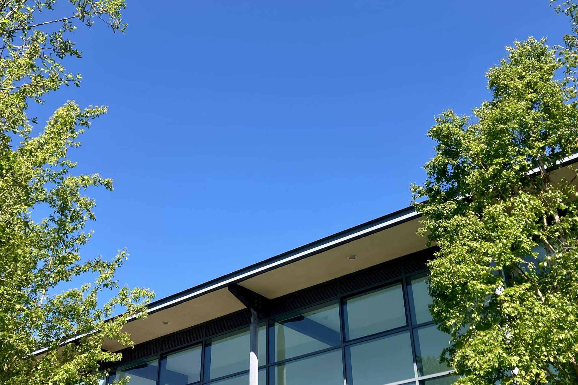 An abstract view of the steel and glass enstrance to the Royal Orthopaedic Hospital in Bimringham, pictured against blue sky and surrounded by trees.