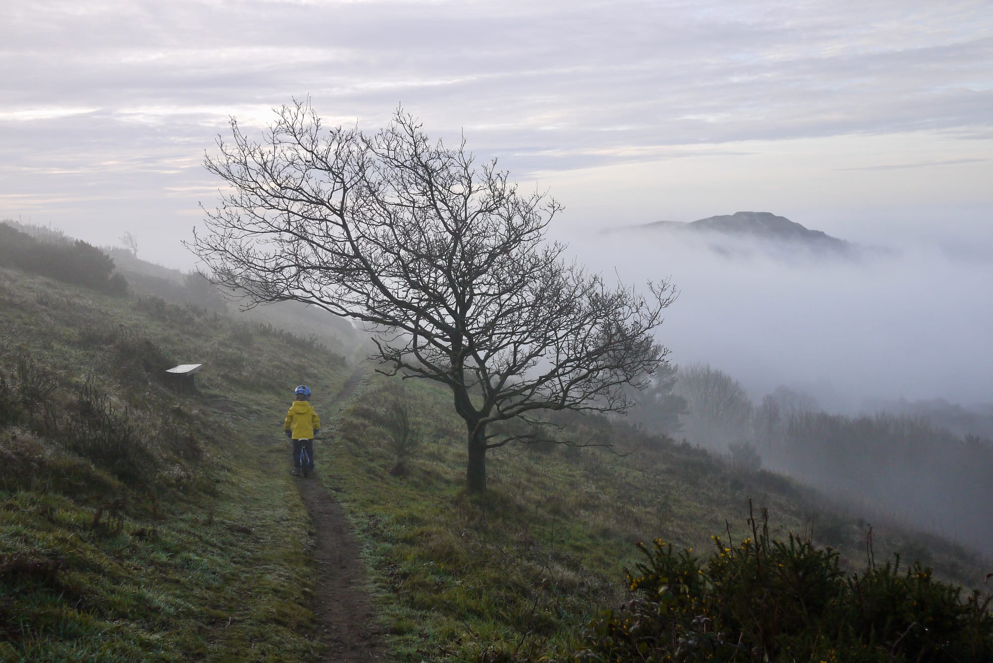 A child wearging a blue helmet and yellow coat rides a balance bike along a hilly path in winter. A tree arches over the path and another hill pokes through low cloud in the distance.
