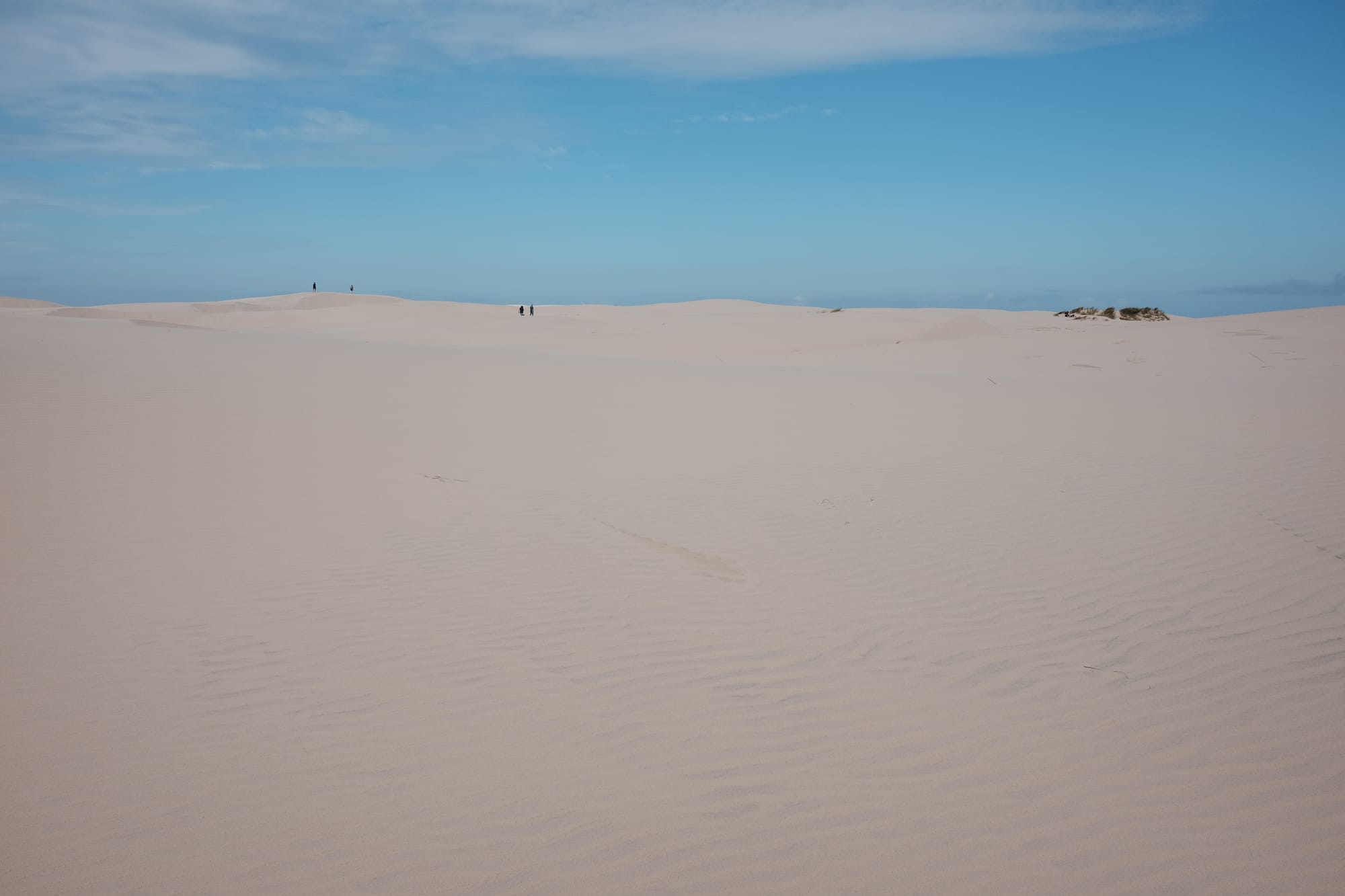 On Råbjerg Mile, a huge dune, people appear as distant specks amid the wind-blown mountains of sand.
