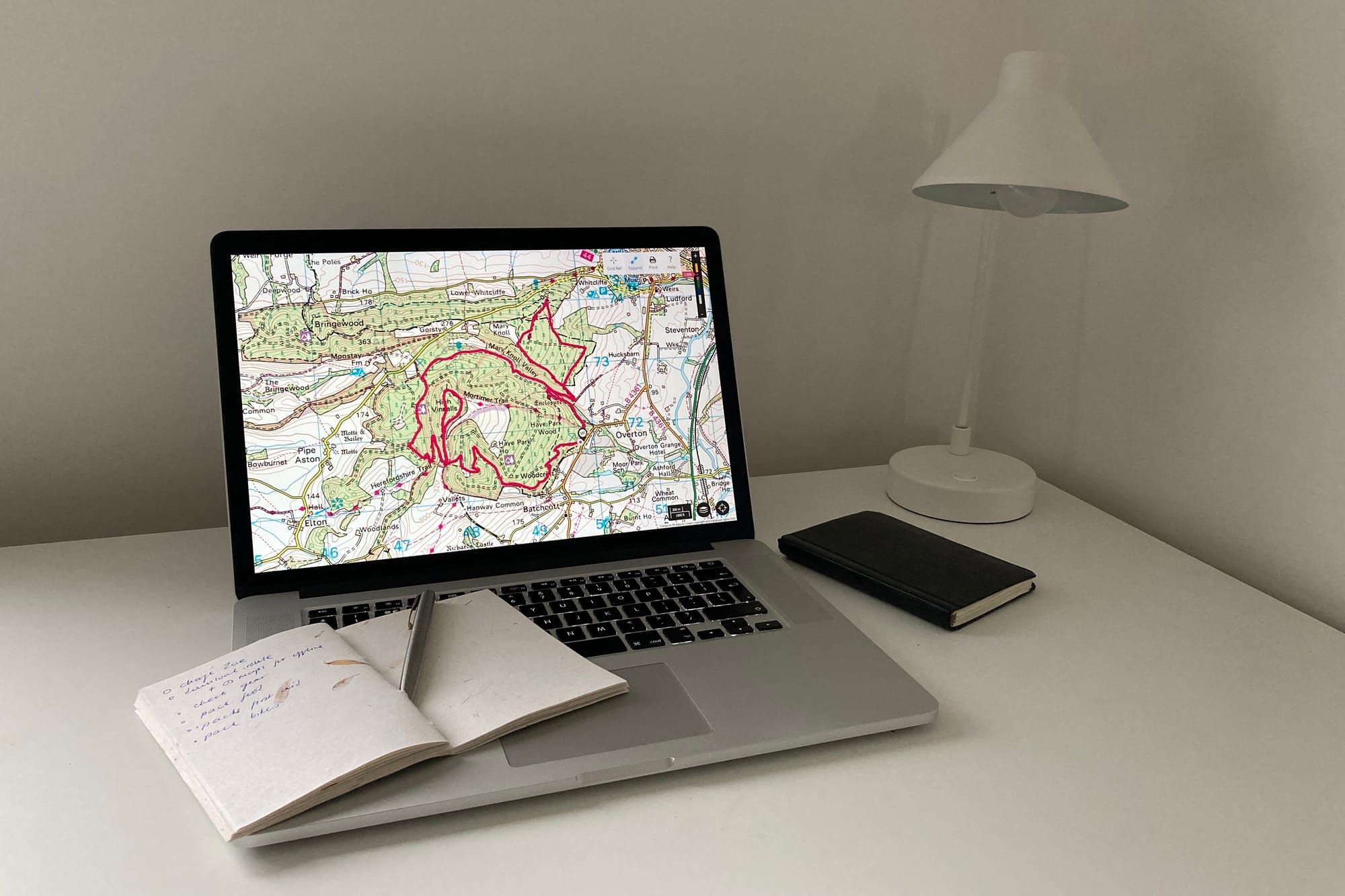 To plan, or not to plan