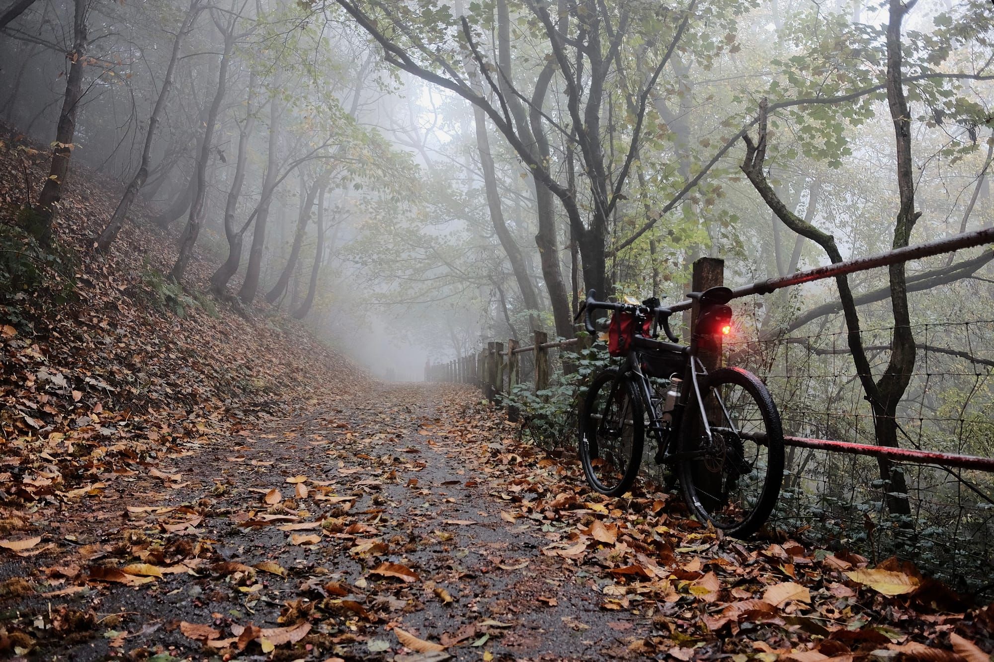 On a foggy autumn day, a bike with its red rear light shining leans against a railing at the side of a leaf-strewn lane.