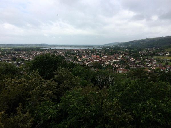 View of Cheddar town from above the gorge: houses among trees and a reservoir in the distance.