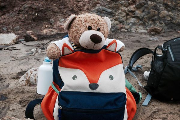 Benji the bear peaks out of a rucksack near Freshwater Bay on the Isle of Wight.