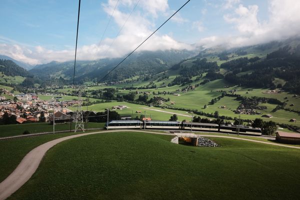 Viewed from a cable car, a white and black train snakes up a steep track in a lush green Swiss valley.
