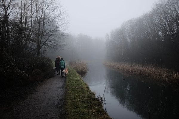 An adult, child and dog walk down a misty canal towpath in the gathering gloom of midwinter.