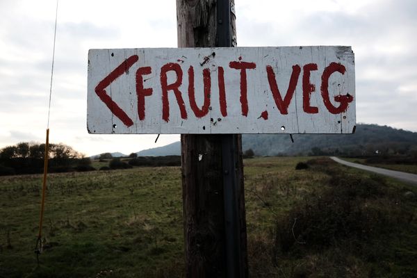 A roadside sign nailed to a telegraph pole with the words 'FRUIT.VEG' points to the left.
