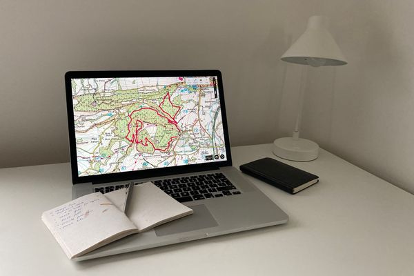 To plan, or not to plan