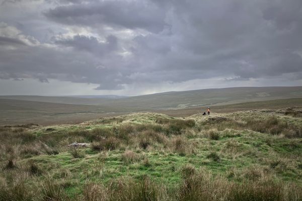 A distant figue in an oranhge coat stands amid the wide green expanse of Dartmoor under a grey sky.