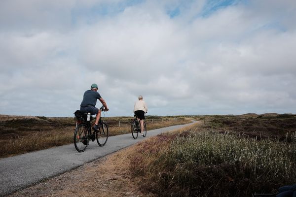 Two cyclists ride down a tarmac bike pathe in a heathland full of purple heather.
