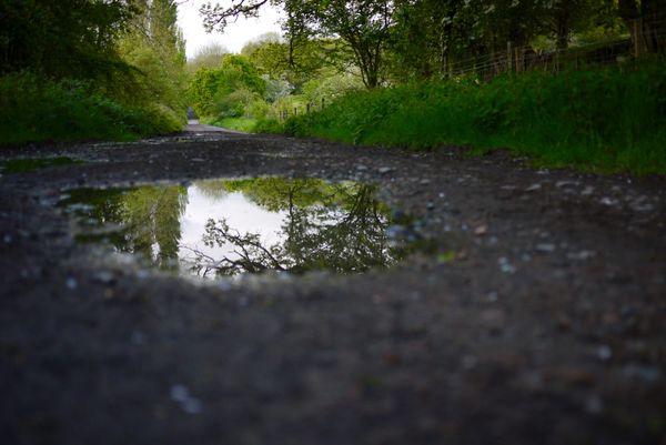 A long, straight stony track, surrounded by greenery, disappears into the distance. Trees are reflected in a puddle in the foreground.