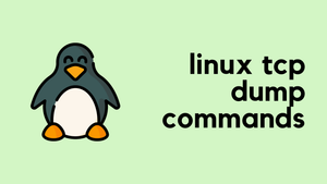 6 Tcpdump commands for Network Troubleshooting
