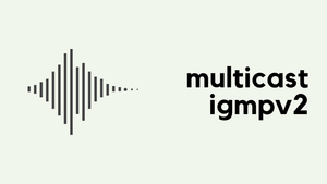 Multicast IGMP - Internet Group Management Protocol (II)